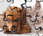 Kedi ve Köpek Puzzle