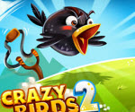 Crazy Birds 2